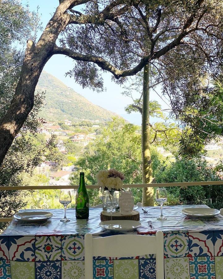 Il Tirreno Degli Dei Aparthotel Capo Vaticano Esterno foto